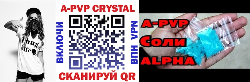 A PVP СК  Жиздра 