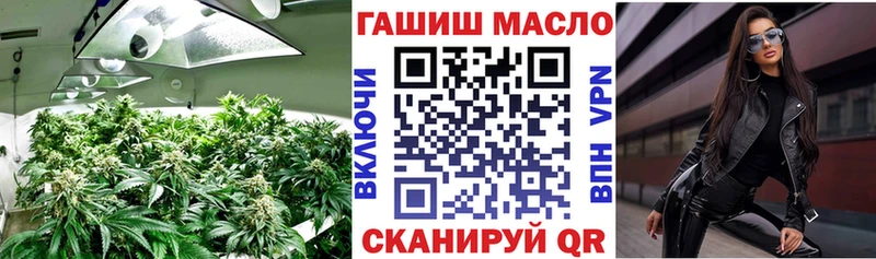 мега маркетплейс  купить закладку  Жиздра  ТГК концентрат 